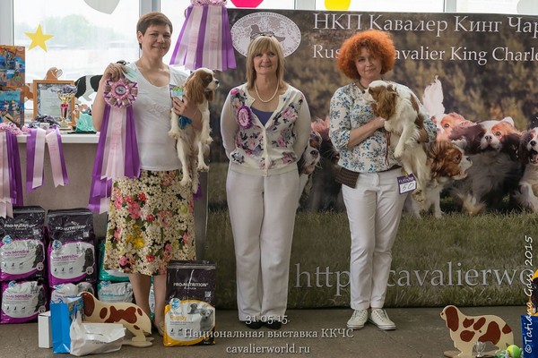 puppy class females.jpg
